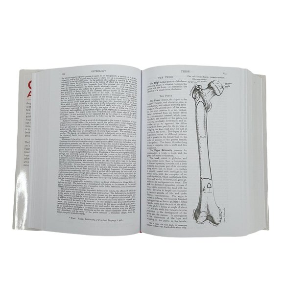 Grays Anatomy Henry Gray Hardback Book Dust Jacket 15th Edition 2012 - Picture 11 of 12